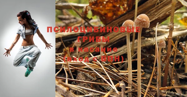 гидропоника Наволоки