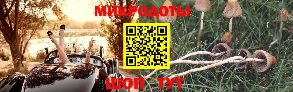 Галлюциногенные грибы Psilocybine cubensis  Вход с VPN  Череповец 