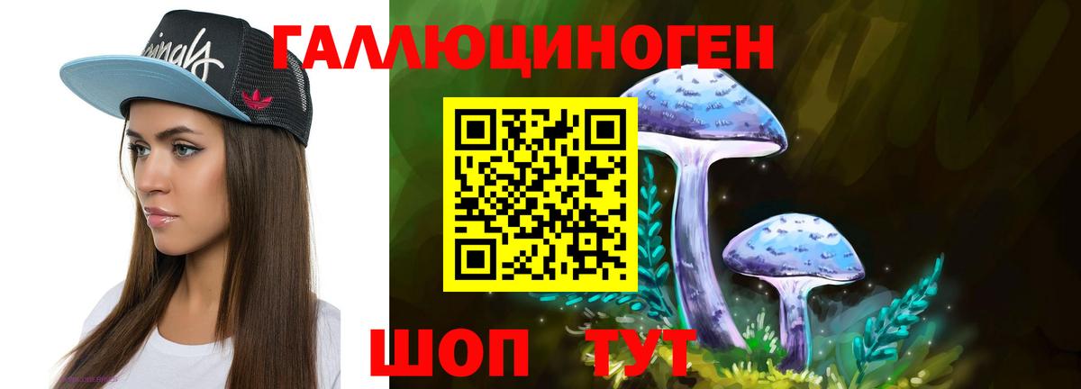 Галлюциногенные грибы мухоморы  Череповец  где купить   Псилоцибиновые грибы Magic Shrooms 