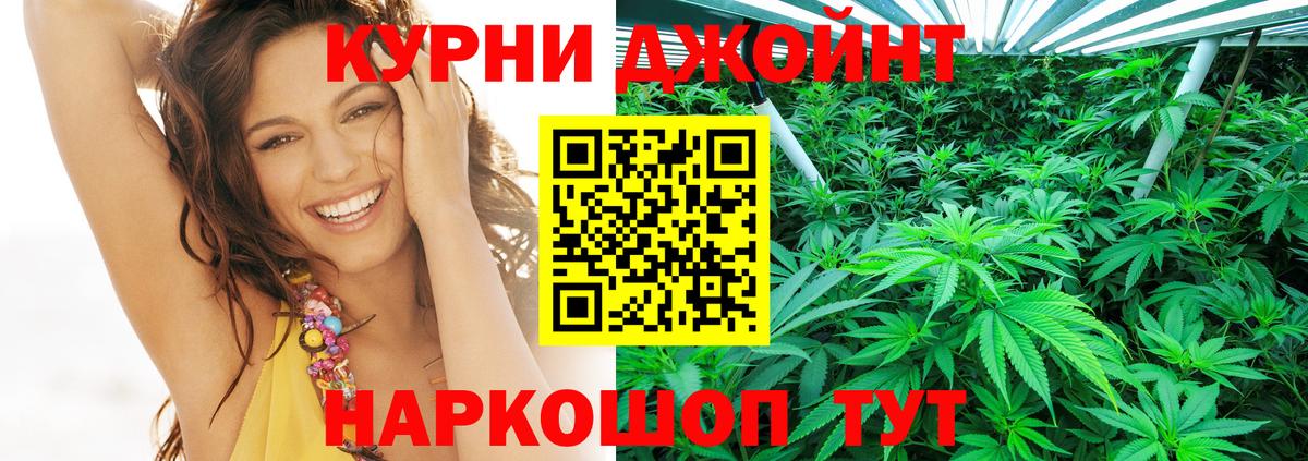 Конопля сатива Череповец
